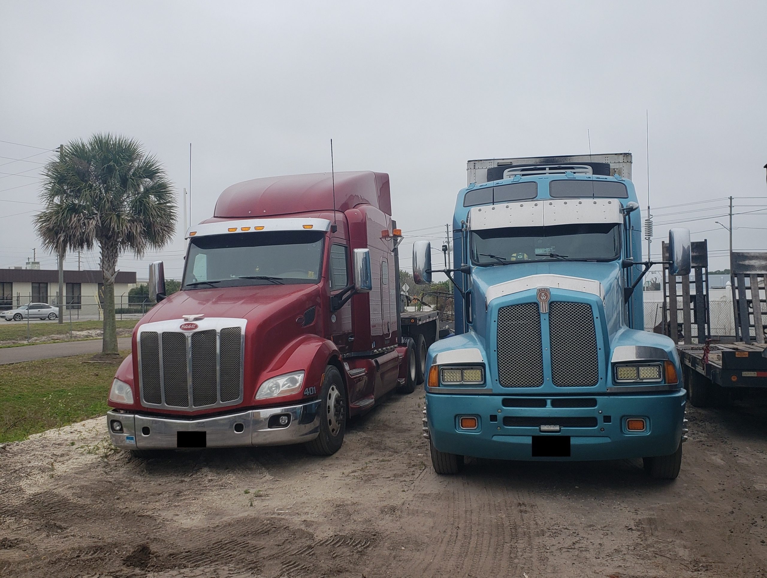 4-bosa's-equip - Copy