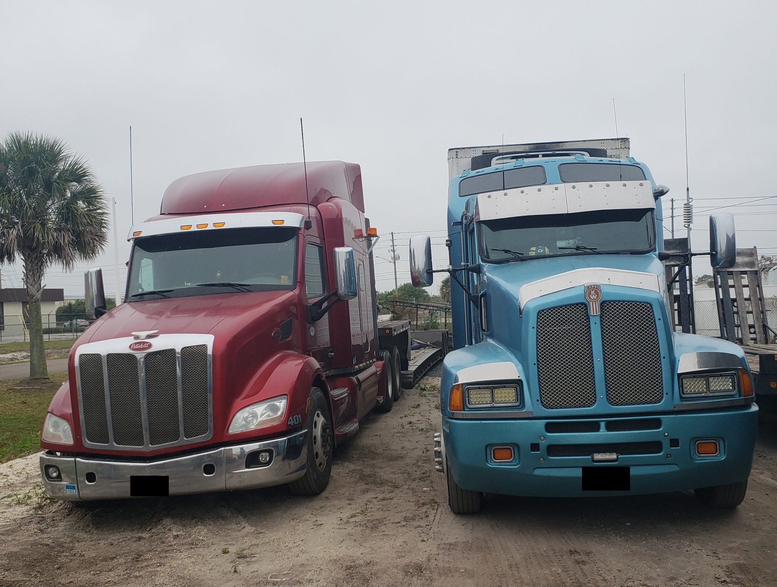 5-bosa's-equip - Copy